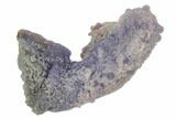3" Purple, Sparkly Botryoidal Grape Agate - Indonesia - #182535-1